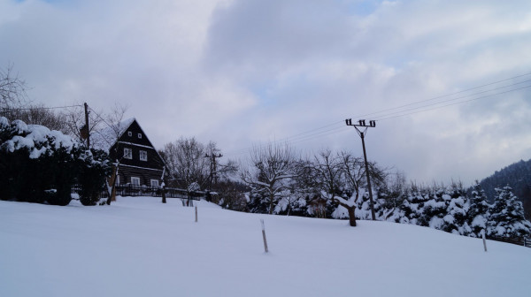 DSC00875