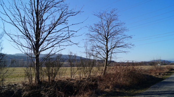 DSC01033