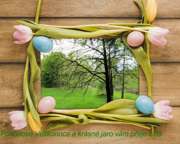 pixiz-01-04-2021-18-29-43