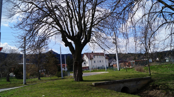 DSC01192