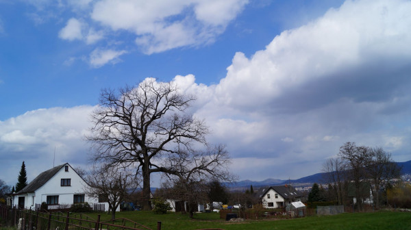 DSC01221