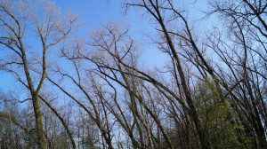 DSC01294