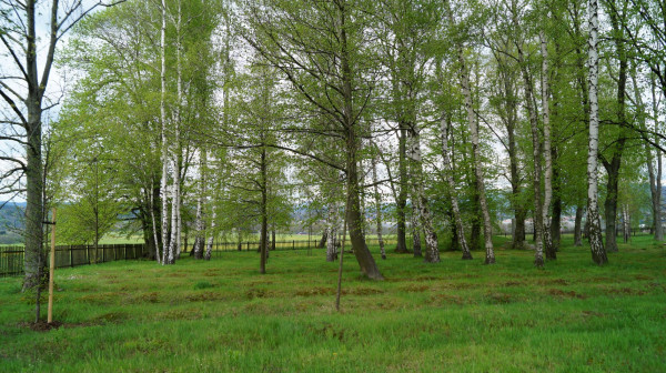 DSC01325