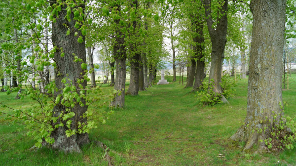 DSC01336