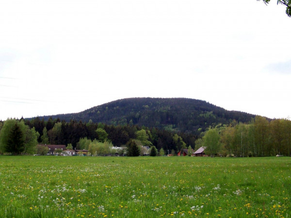 100_8839