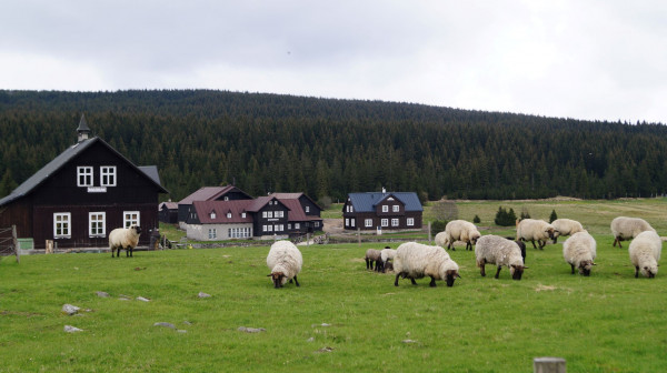 DSC01549