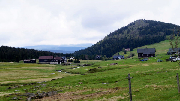 DSC01539