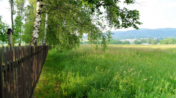 DSC01560