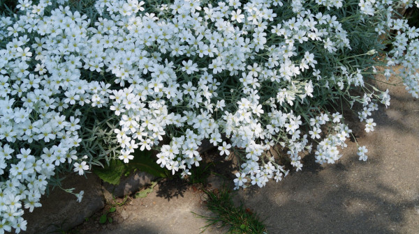DSC01580