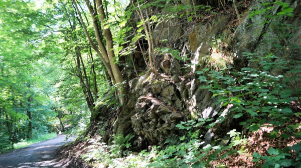 DSC01825