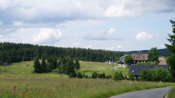 DSC01913