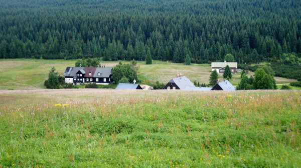 DSC02001