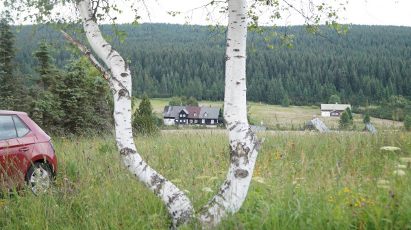 DSC01981