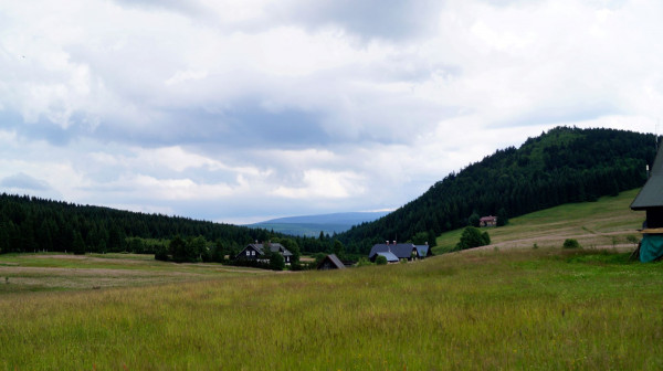 DSC01921