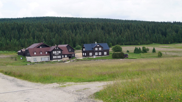 DSC01919