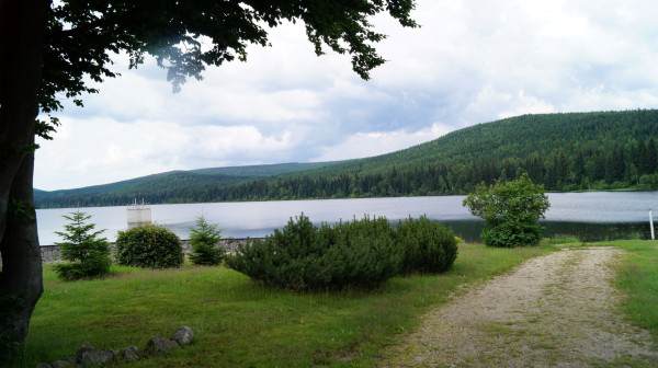 DSC02062
