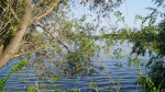 DSC02190