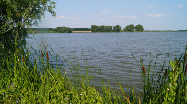 DSC02197