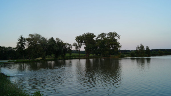 DSC02264
