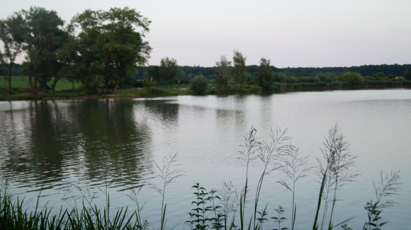 DSC02268