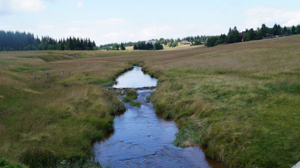DSC02408
