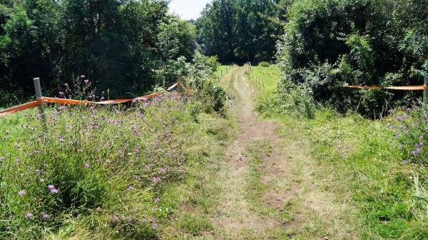 DSC02429