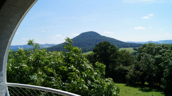 DSC02436