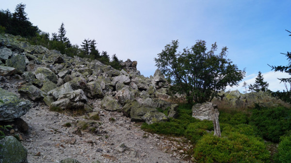 DSC02706