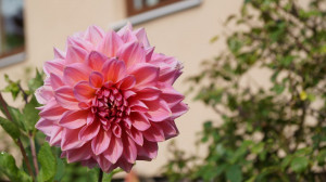 DSC03058