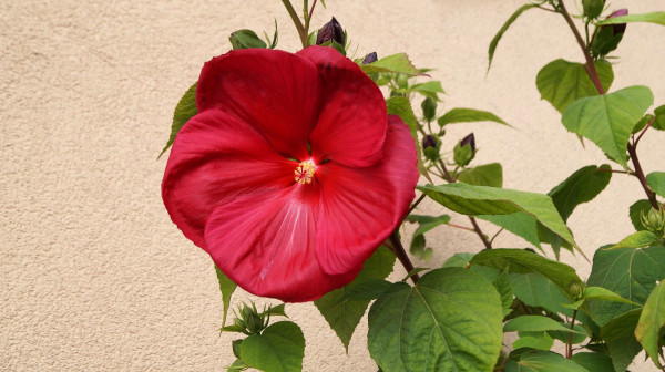 DSC03173