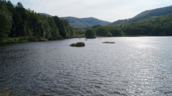 DSC03209